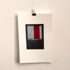 DD Screen Print #4